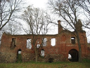 1-IMG_1391
